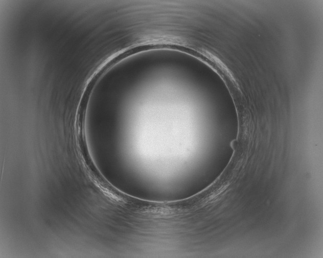 X0000082960885200702152303