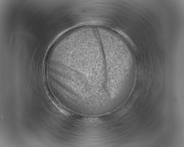 X0000082960886200702152303