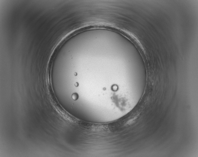 X0000082960887200702152303