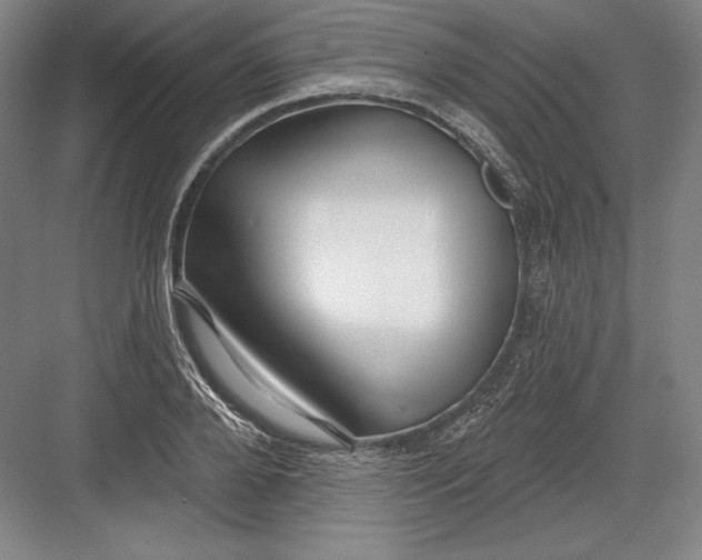 X0000082960888200702152303