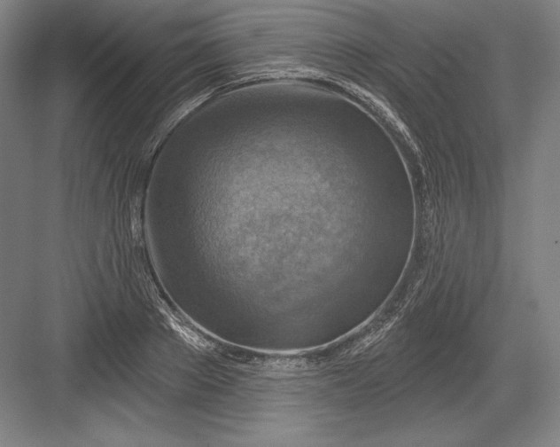 X0000082960889200702152303