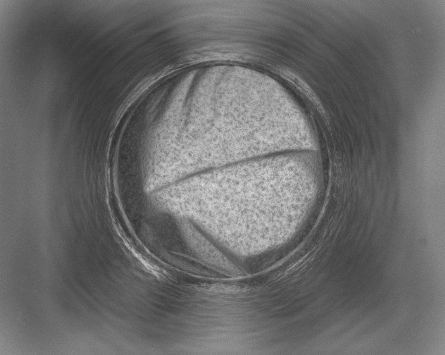 X0000082960890200702152303