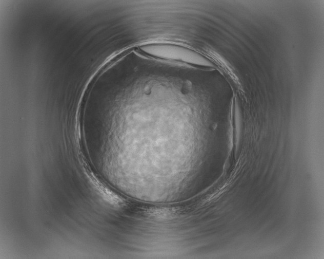 X0000082960892200702152303