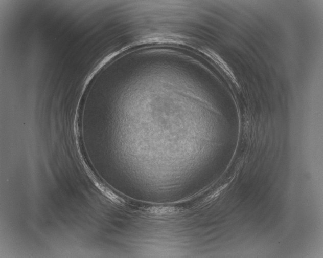 X0000082960893200702152303