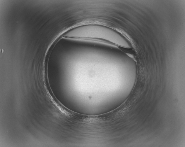 X0000082960894200702152303