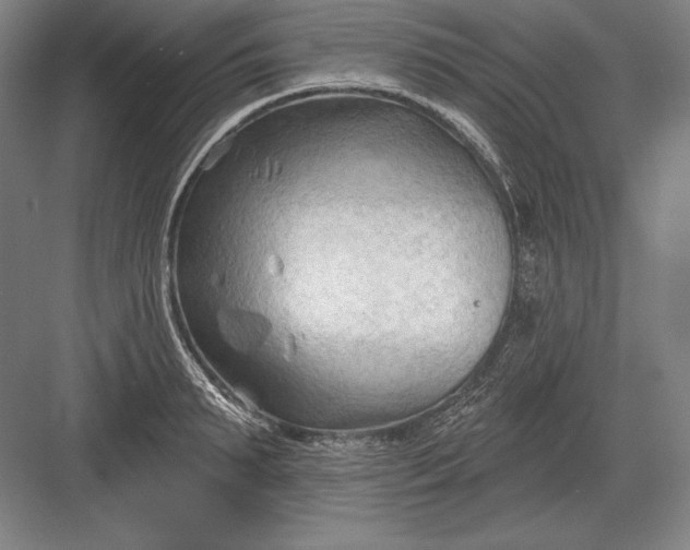 X0000082960895200702152303