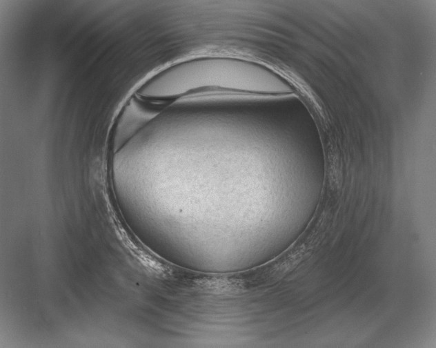 X0000082960896200702152303