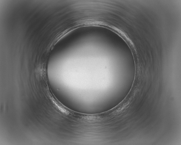 X0000082960897200702152303