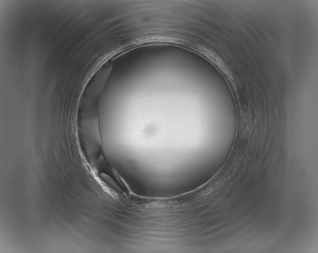 X0000082960898200702152303