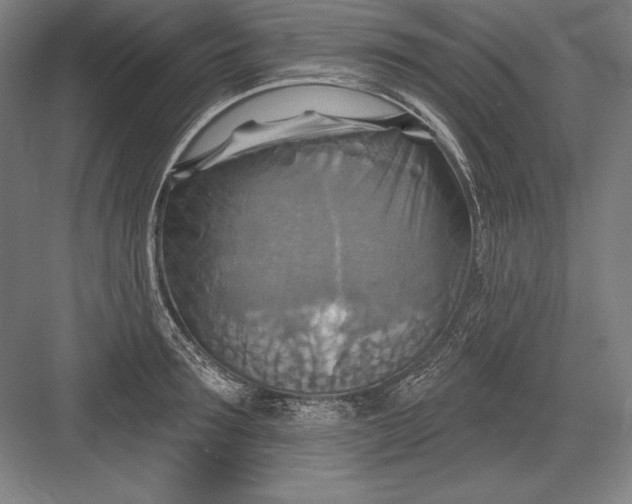 X0000082960899200702152303