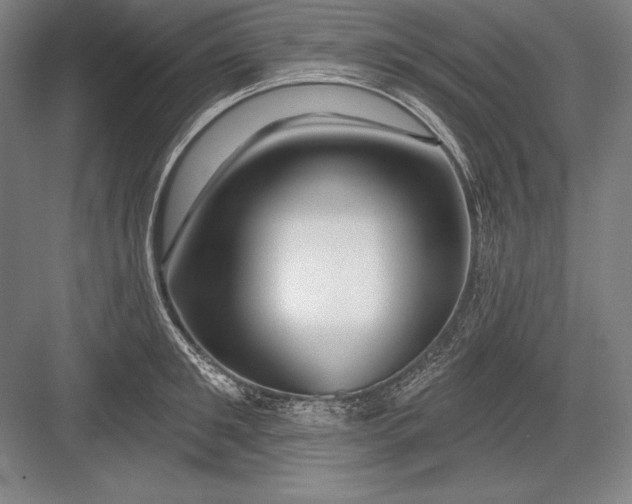 X0000082960901200702152303