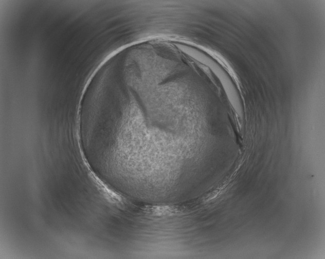 X0000082960903200702152303