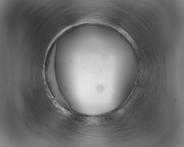 X0000082960904200702152303