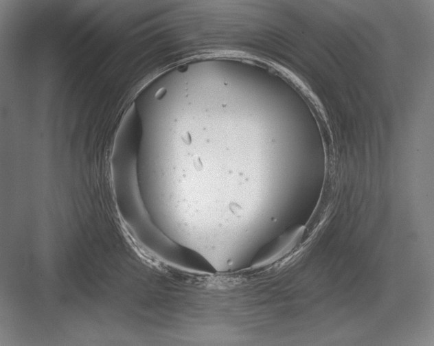 X0000082960905200702152303