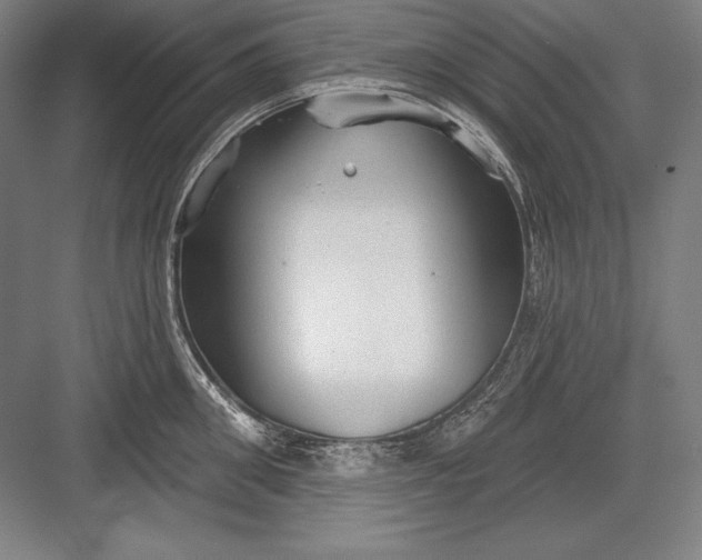 X0000082960906200702152303