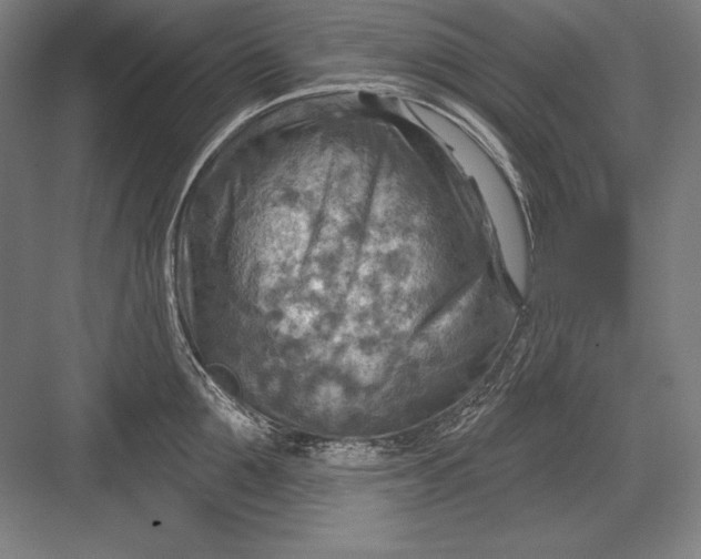 X0000082960907200702152303