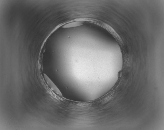 X0000082960908200702152303