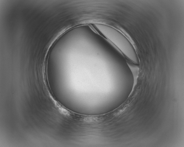 X0000082960909200702152303