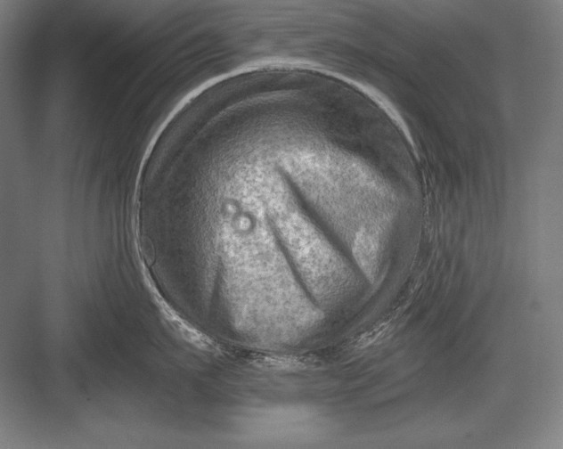 X0000082960911200702152303