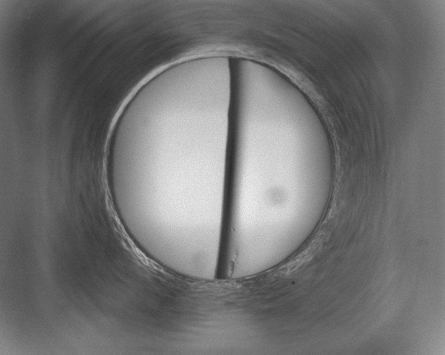 X0000082960912200702152303