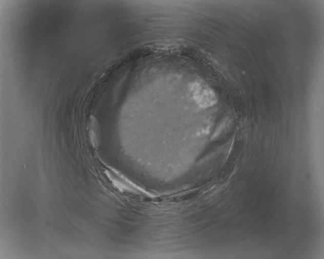 X0000082960913200702152301