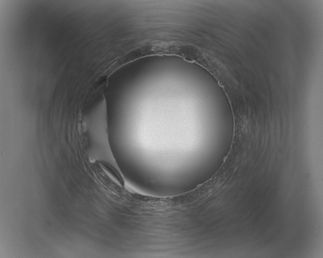 X0000082960914200702152302