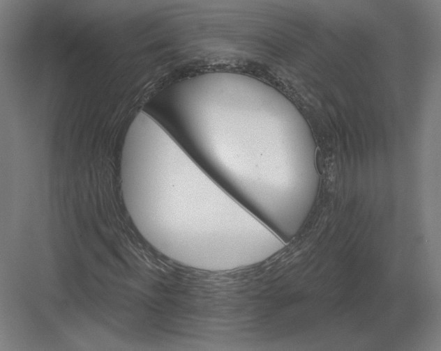 X0000082960916200702152302