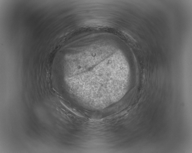 X0000082960917200702152302