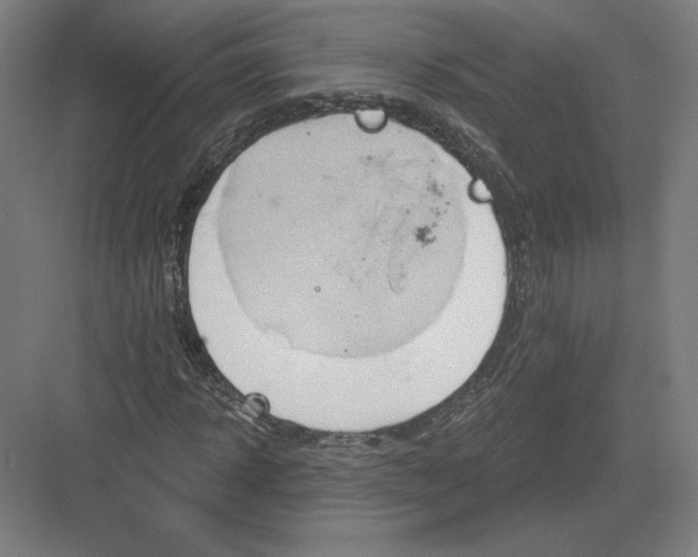 X0000082960918200702152302