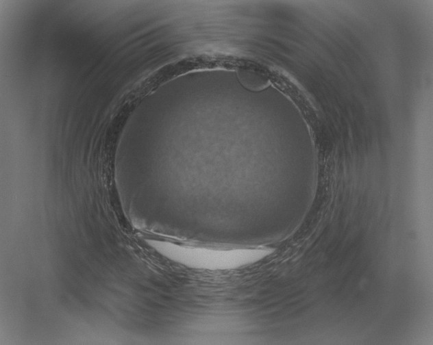 X0000082960919200702152302