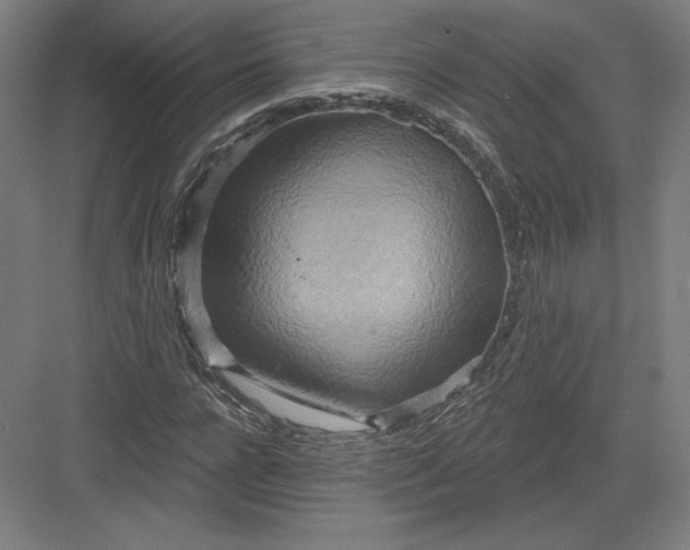 X0000082960920200702152302