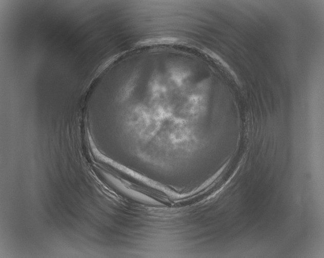 X0000082960921200702152302