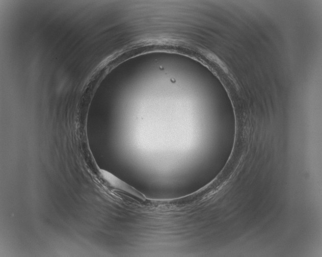 X0000082960922200702152302