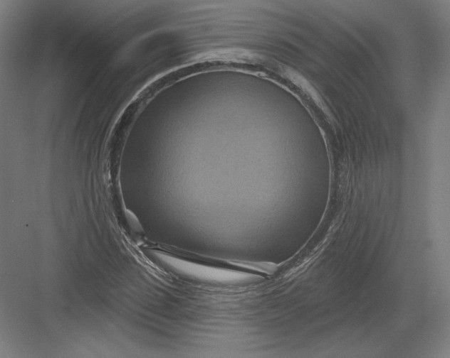 X0000082960923200702152302