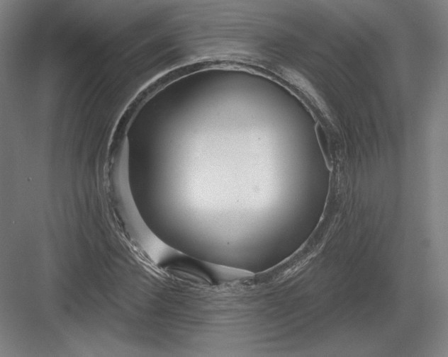 X0000082960924200702152302