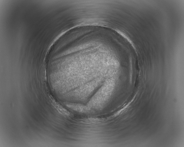 X0000082960925200702152302