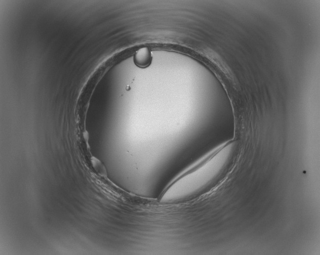 X0000082960926200702152302