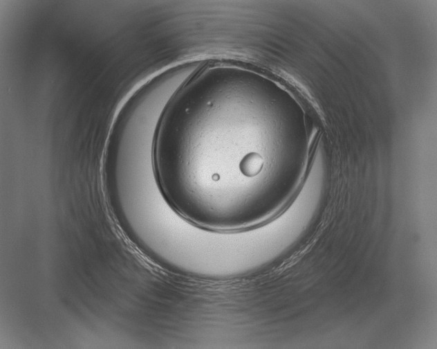 X0000082960928200702152302