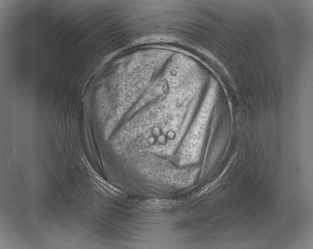 X0000082960929200702152302