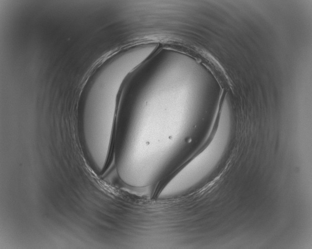 X0000082960930200702152302