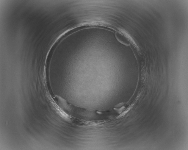 X0000082960932200702152302