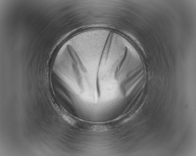 X0000082960933200702152302