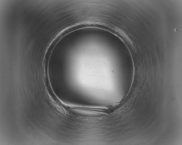 X0000082960934200702152302