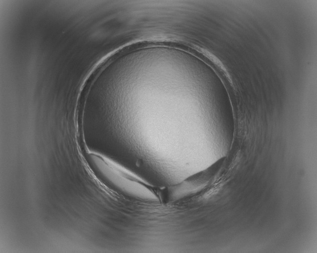 X0000082960935200702152302