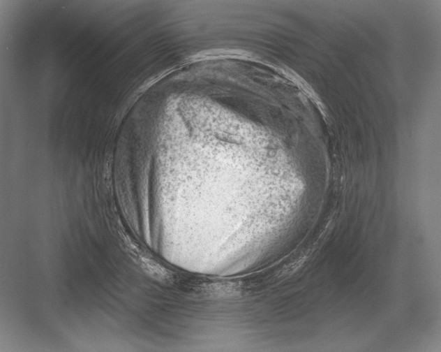 X0000082960937200702152302