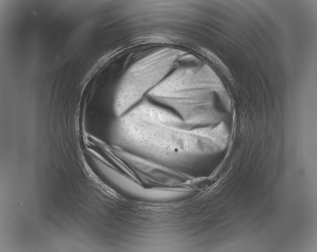 X0000082960938200702152302