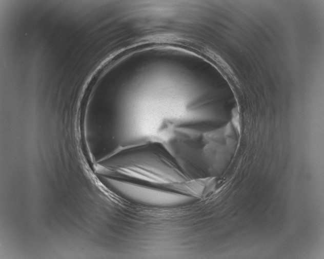 X0000082960939200702152302