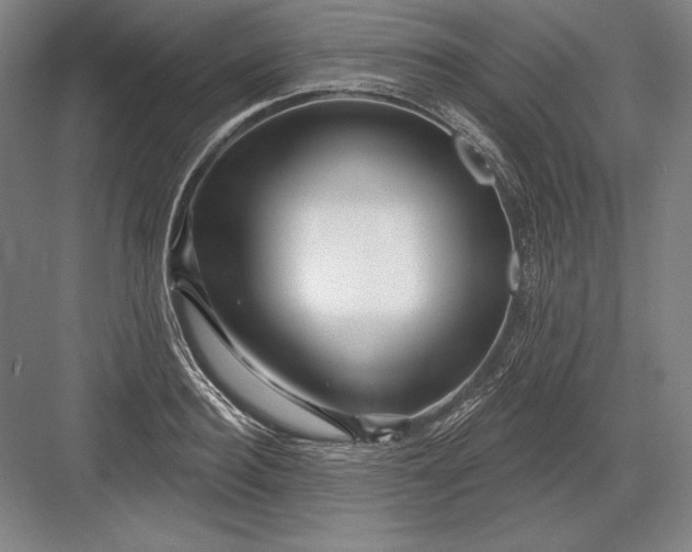 X0000082960940200702152302