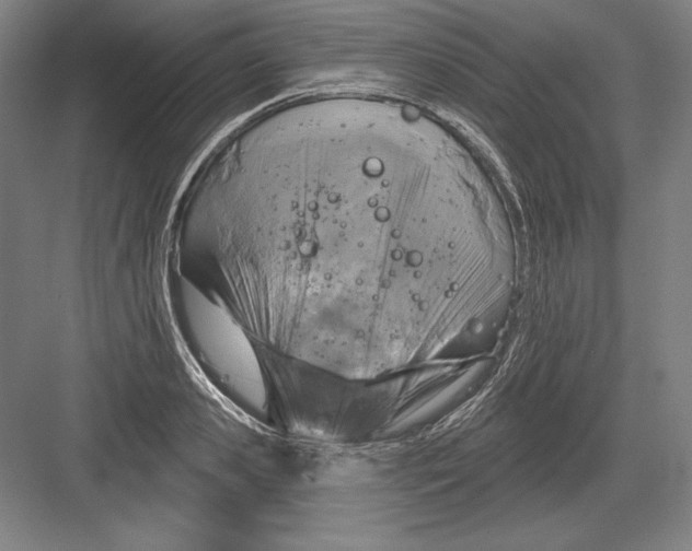 X0000082960941200702152302