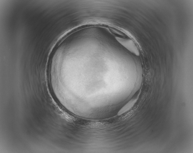 X0000082960943200702152302